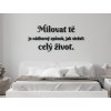 Citát o lásce Milovat tě je ideální způsob, jak strávit celý život (Barva obrazu Antracit, Rozměr obrazu 42 x 86 cm)
