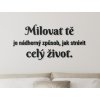Citát o lásce Milovat tě je ideální způsob, jak strávit celý život (Barva obrazu Antracit, Rozměr obrazu 42 x 86 cm)