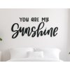 Nápis na zeď You are my sunshine