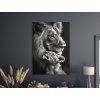 Čiernobiely obraz Pod ochranou leva (Velikost obrazu A1, Barva rámu Bez rámu, Povrchová úprava 3D)