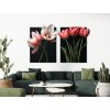 Dvojdielny obraz Romantické tulipány (Rozměr obrazu 89 x 146 cm, Povrchová úprava 3D)