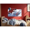 Obraz na stenu Jazda snowboardistu (Rozměr obrazu 67 x 105 cm, Povrchová úprava 3D)