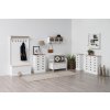61738 6 aster lavica
