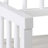 61738 5 lavica aster biela