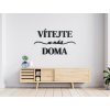 Nápis Vítejte u nás doma (Barva obrazu Antracit, Rozměr obrazu 68 x 121 cm)