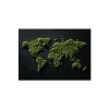 Dekoračná mapa sveta v machovom dizajne (Velikost obrazu A1, Barva rámu Bez rámu, Povrchová úprava 3D)