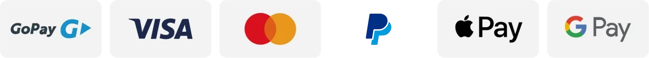 GoPay, Visa, Mastercard, PayPal, Apple Pay, Google Pay