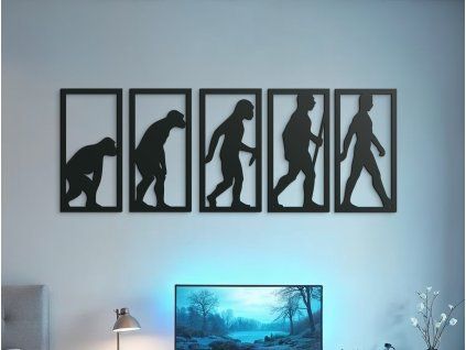 Mehrteiliges Wandbild EVOLUTION (Bildabmessungen 25,5 x 70 cm, Bildfarbe Grau)