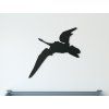 Kindersticker PTERODACTYL (Bildabmessungen 21,5 x 22,5 cm, Bildfarbe Grau)
