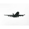 Hölzerne Wanddekoration FLUGZEUG (Bildabmessungen 12,5 x 44,5 cm, Bildfarbe Grau)