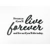 Holzzitat Dream as if you’ll live forever (Bildabmessungen 47 x 84 cm, Bildfarbe Grau)