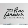 Holzzitat Dream as if you’ll live forever (Bildabmessungen 47 x 84 cm, Bildfarbe Grau)