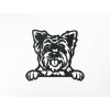Wandbild Yorkshire Terrier