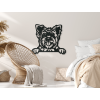 Wandbild Yorkshire Terrier (Bildabmessungen 27,5 x 31,5 cm, Bildfarbe Grau)
