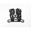 Holzbild Border Collie