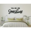 Wandtattoo You are my sunshine
