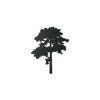 Wandsticker MÄCHTIGER BAUM (Bildabmessungen 31,5 x 25,5 cm, Bildfarbe Grau)