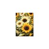 Obraz Maľované slnečnice (Bildgröße A1, Farbe des Rahmens Ohne Rahmen, Oberflächenfinish 3D)
