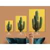 Obraz na stenu Sloní kaktus (Bildgröße A1, Farbe des Rahmens Ohne Rahmen, Oberflächenfinish 3D)