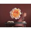 Bild Orangefarbene Rose (Bildabmessungen 32 x 33 cm, Oberflächenfinish Matt)