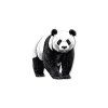 Bild Ruhiger Panda (Bildabmessungen 41 x 35,5 cm, Oberflächenfinish Matt)