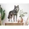 Wandbild Wilder Wolf (Bildabmessungen 45 x 32 cm, Oberflächenfinish Matt)