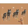 Wandbild Wilder Wolf (Bildabmessungen 45 x 32 cm, Oberflächenfinish Matt)