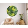 Okrúhly machový obraz Zeleň (UV tlač) (Bildabmessungen 89 x 89 cm, Oberflächenfinish 3D)