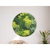 Okrúhly machový obraz Zeleň (UV tlač) (Bildabmessungen 89 x 89 cm, Oberflächenfinish 3D)