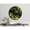 Okrúhla machová dekorácia Zelený dotyk (UV tlač) (Bildabmessungen 89 x 89 cm, Oberflächenfinish 3D)