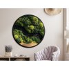 Okrúhla machová dekorácia Zelený dotyk (UV tlač) (Bildabmessungen 89 x 89 cm, Oberflächenfinish 3D)