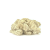 Stabilizovaný mach - Lišajník - krémový (Verpackung 100 g - (15 x 10 cm))