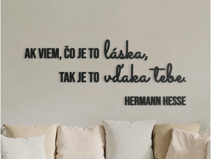 Citation en bois Si je sais ce qu