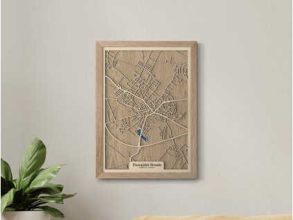 Dunajská Streda (1)