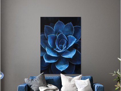 64207 1 obraz modry sukulent