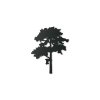 Sticker mural Arbre imposant