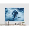 64618 1 obraz na stenu hokejista