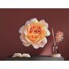 Tableau Rose orange (Dimensions du tableau 32 x 33 cm, Finition Mate)