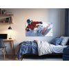 Obraz na stenu Jazda snowboardistu (Dimensions du tableau 67 x 105 cm, Finition 3D)