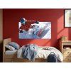 Obraz na stenu Jazda snowboardistu (Dimensions du tableau 67 x 105 cm, Finition 3D)