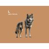 Tableau mural Loup sauvage (Dimensions du tableau 45 x 32 cm, Finition Mate)