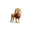 Tableau mural Lion fier (Dimensions du tableau 45 x 35 cm, Finition Mate)