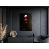 72993 4 obraz krvavy mesiac format du tableau a1 couleur du cadre sans cadre finition 3d