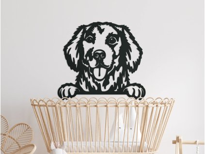 3D falmatrica Golden retriever