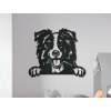 Fakép Border collie