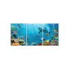 Trojdielny obraz Pokojný život v mori (A kép mérete A1, A keret színe Bez rámu, Felületkezelés 3D)