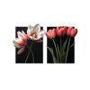 Dvojdielny obraz Romantické tulipány (Kép mérete 89 x 146 cm, Felületkezelés 3D)