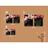 Dvojdielny obraz Romantické tulipány (Kép mérete 89 x 146 cm, Felületkezelés 3D)