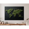 Dekoračná mapa sveta v machovom dizajne (A kép mérete A1, A keret színe Keret nélkül, Felületkezelés 3D)