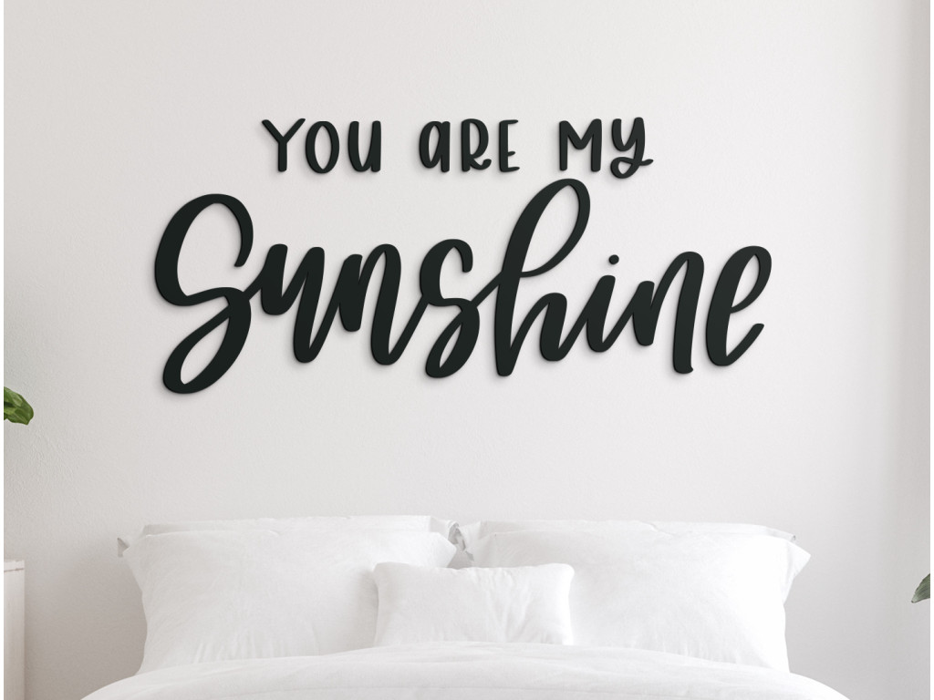 Nápis na stenu You are my sunshine (Dimensioni del quadro 38 x 85 cm, Colore del quadro Antracite)